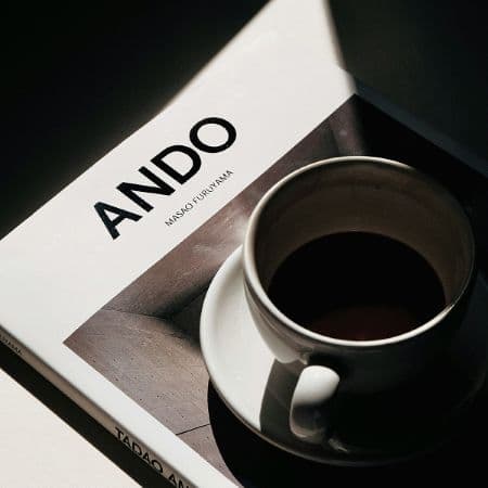 ANDO branding book